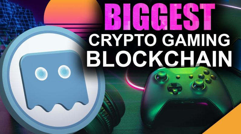 BEST Low Cap Crypto Gem of 2021 (Gaming & NFT Token)