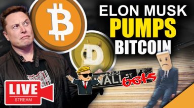 Bitcoin News: Elon Musk PUMPS Bitcoin (Wall Street Completely Dead)