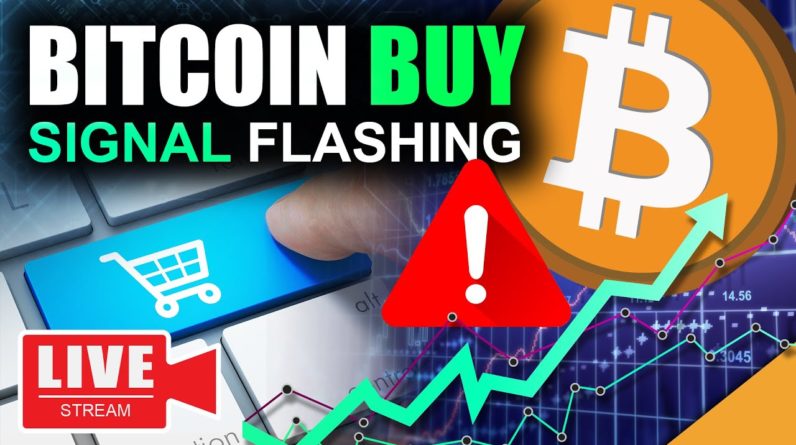 Bitcoin Price Signal FLASHING BUY!!! (1st time in 2021)