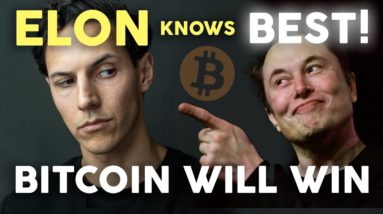 Bitcoin + Elon Musk = Mass Adoption | Crypto News (Dogecoin, r/wallstreetbets & Gamestop)