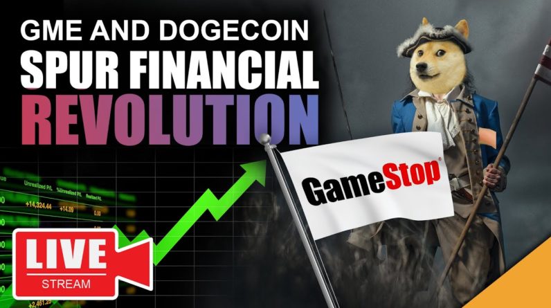 GME and DOGECOIN Spark 2021 Revolution (The Game Has Changed)