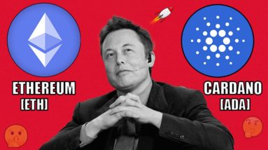 REVEALED: ELON MUSK BUYING CARDANO AND ETHEREUM!? $10,000 Bitcoin CRASH! 3 Altcoins YOU NEED TO SEE!