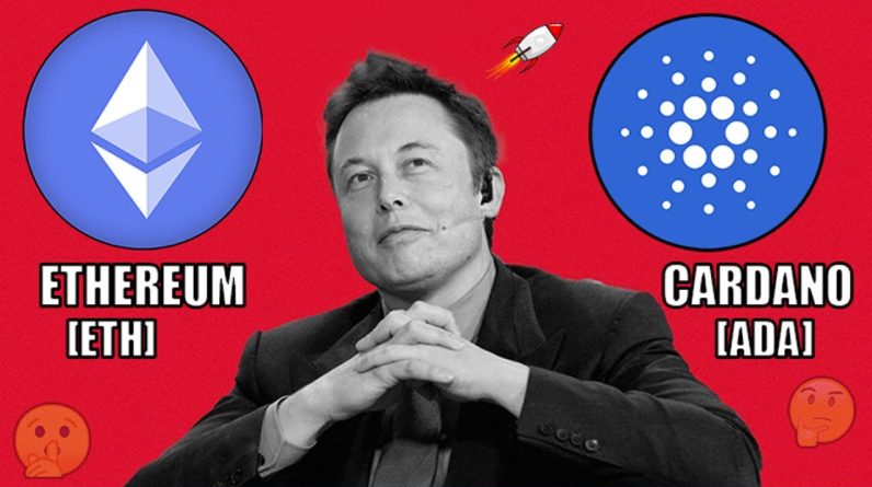 REVEALED: ELON MUSK BUYING CARDANO AND ETHEREUM!? $10,000 Bitcoin CRASH! 3 Altcoins YOU NEED TO SEE!