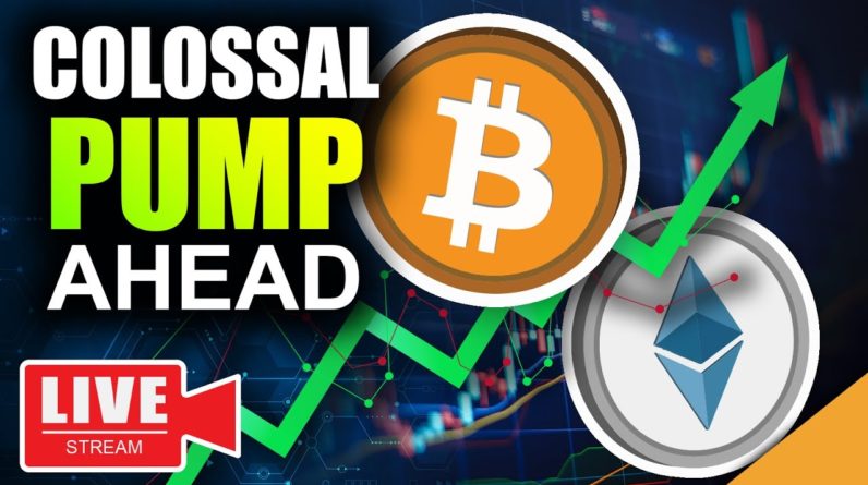 Crypto News: INCOMING PUMP for BTC and ETH (February 2021 Will Be BEST EVER)