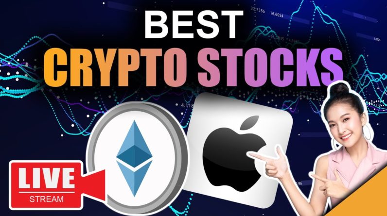 SECRET Bitcoin Data REVEALED (Top 25 Stocks In Crypto)