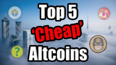 Top 5 Cheap Altcoins To Watch in 2021 | Best Cryptocurrency Investment February | BitBoy Interview