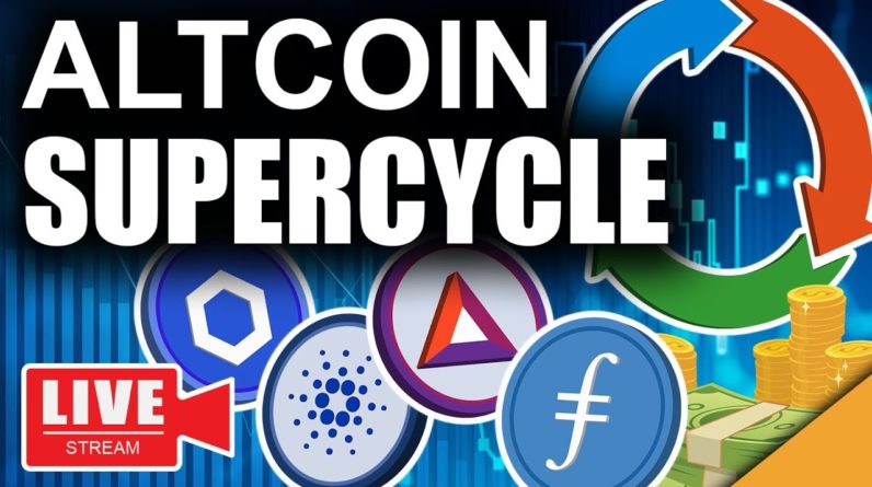 Altcoin Super Cycle Explained (Cardano, Link & BAT Explosion)