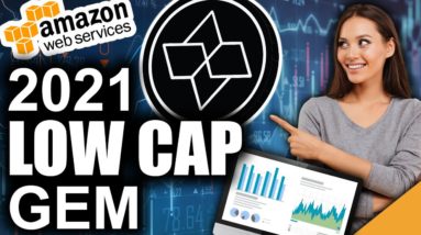 Low Cap Gem Decentralizing Amazon (Top 2021 Crypto)