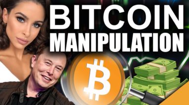 Elon Musk MANIPULATES Crypto? (Complete Beginner's Guide To Bitcoin)