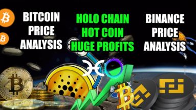 HOLOCHAIN HOT COIN Huge Profits - Bitcoin BTC Binance BNB Coin Price Analysis Crypto Pump or Dump