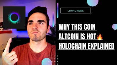 What is Holochain? - HOT Beginners Guide - FACEBOOK INFO LEAKED!