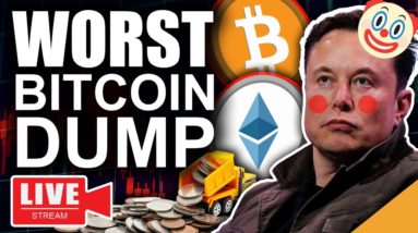 ⚠️ALERT🚨 Elon Musk Worst Bitcoin Dump (Cardano All Time High)