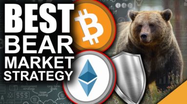 BEST Bear Market Strategy for 2021 (How to Protect Your Crypto)