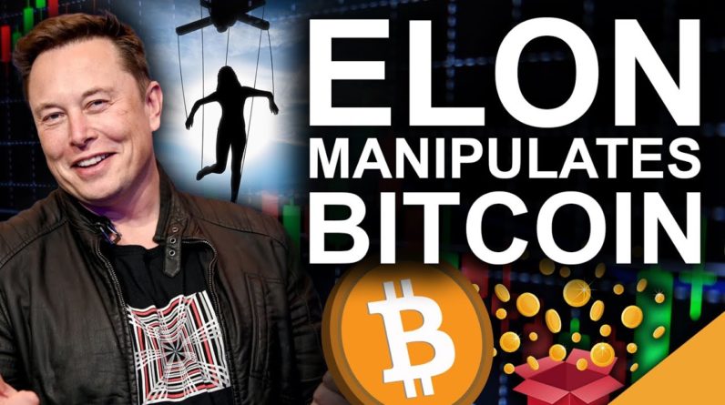 Elon Musk MANIPULATES Bitcoin (Is the Worst of it OVER?)