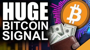 HUGE Bitcoin BUY Signal Flashes (Top Reason Experts LOVE BTC)