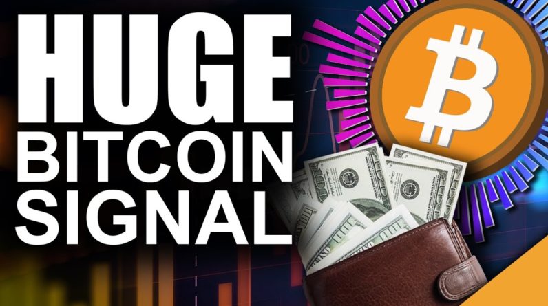 HUGE Bitcoin BUY Signal Flashes (Top Reason Experts LOVE BTC)