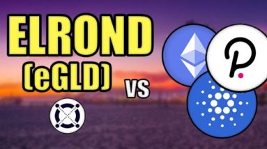 Elrond (eGLD) vs Cardano, Ethereum, & Polkadot! (BIG ELROND PRICE PREDICTION) Hashoshi Interview