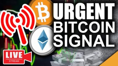 Urgent Bitcoin Price Signal (Strongest On Chain Indicator)