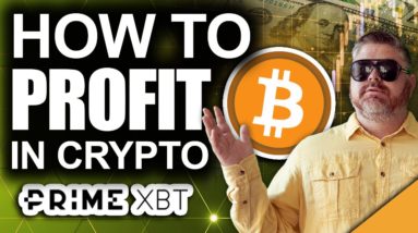 #1 Reason Bitcoin is NOT Dead (Best Way to Revive your Portfolio)