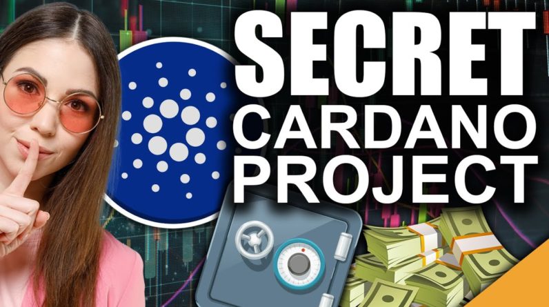 #1 Top SECRET Cardano Project (BEST Crypto of 2021)