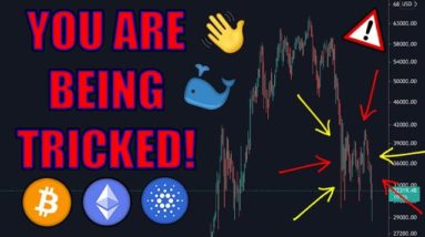 CRYPTO INVESTORS! MANIPULATION (NSCC-002) REVEALED! BITCOIN, ETHEREUM MARKET BEING SUPPRESSED!