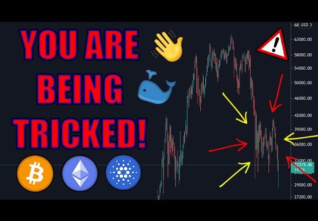 CRYPTO INVESTORS! MANIPULATION (NSCC-002) REVEALED! BITCOIN, ETHEREUM MARKET BEING SUPPRESSED!