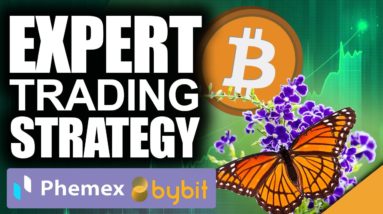 MILLIONAIRE Maker Bitcoin Trading Strategy (Top Experts DO THIS!)