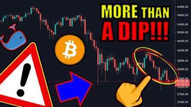 Prepare For The Worst (PRICE CRASH)!? Bitcoin & Cryptocurrency Investor WARNING! 2021 Market Outlook