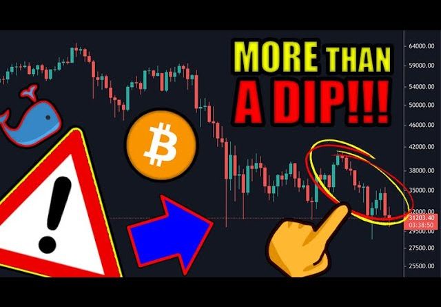 Prepare For The Worst (PRICE CRASH)!? Bitcoin & Cryptocurrency Investor WARNING! 2021 Market Outlook