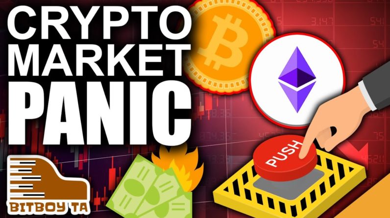 Crypto Market Panic (Bitcoin Price Below $30K)