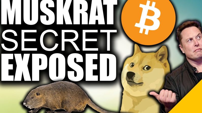 SECRET Crypto Plan EXPOSED (Elon Musk to DUMP Dogecoin for Bitcoin)