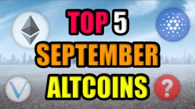 Top Blue Chip Altcoins with Most Potential in September 2021! (Best Cryptocurrency Investments)