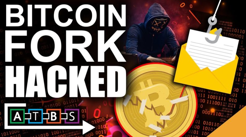 Bitcoin Fork Suffers Utmost Hack (51% Exploit Shows Weakness)