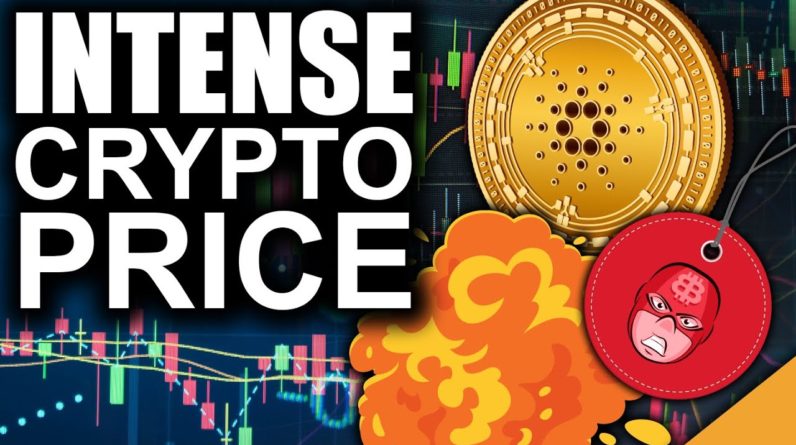 Cardano Gains On Bitcoin (INTENSE Price Action Ahead)