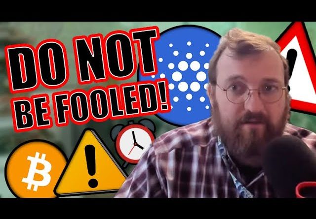 MASSIVE WARNING TO CARDANO HOLDERS! [New Crypto Investors WATCH]