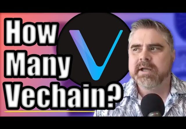 How Much Vechain (VET) Do You Need To Become A Cryptocurrency Millionaire? | BitBoy Crypto