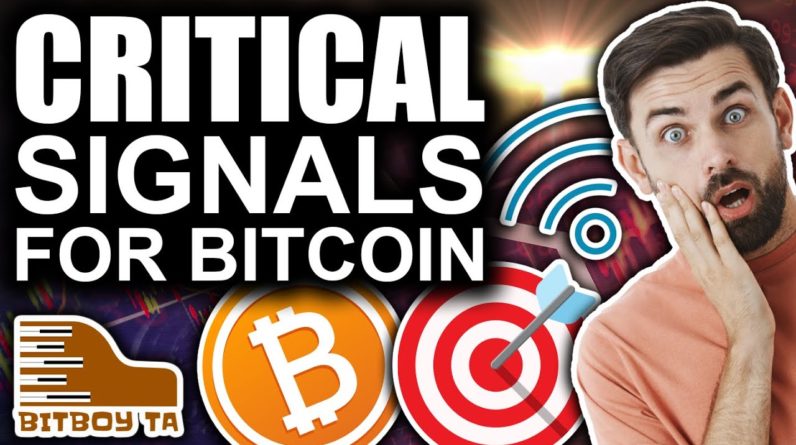 Bitcoin FLASHING Critical Signals (Final Test For Crypto)