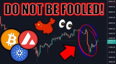 CHINA CRASHES CRYPTO MARKET as TWITTER INTEGRATES BITCOIN & NFTs! [Avalanche & Cardano News]