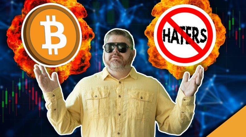 Bitcoin Proves The Haters Wrong (Top Crypto Makes Millions for Hodlers)