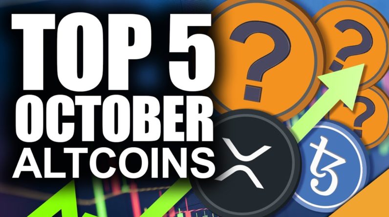 Top 5 Altcoins in October