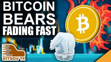 Bitcoin Bears Fading FAST (Crypto Charts Are Still Pumping)