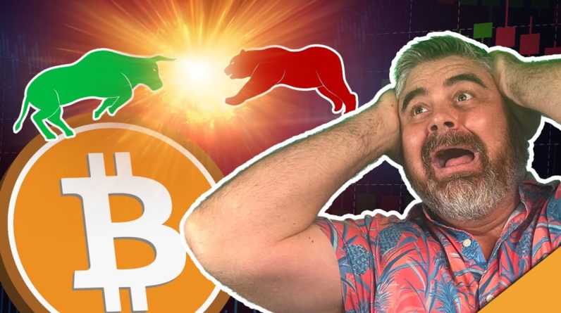 CRUCIAL Bitcoin Update (Crypto Fights Back)