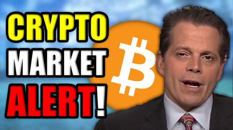 WHAT IS HAPPENING W/ BITCOIN AND CRYPTOCURRENCY?? (I'M NERVOUS)