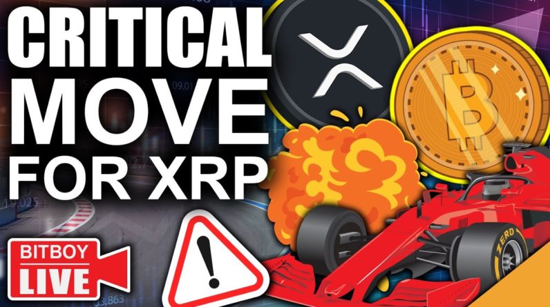 WARNING: THIS COULD CAUSE A MASSIVE BITCOIN DUMP! (XRP FIGHT AGAINST SEC CONTINUES)