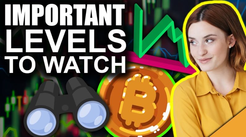 Bitcoin MOST IMPORTANT Levels to Watch (Bear and Bull Price Target Analysis)