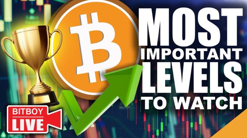 Massive Bitcoin Price Swing Incoming (Best Time For Ethereum, Cardano & Terra)