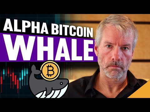 Alpha Bitcoin Whale (Why This Man Knows MORE Than You About Crypto)