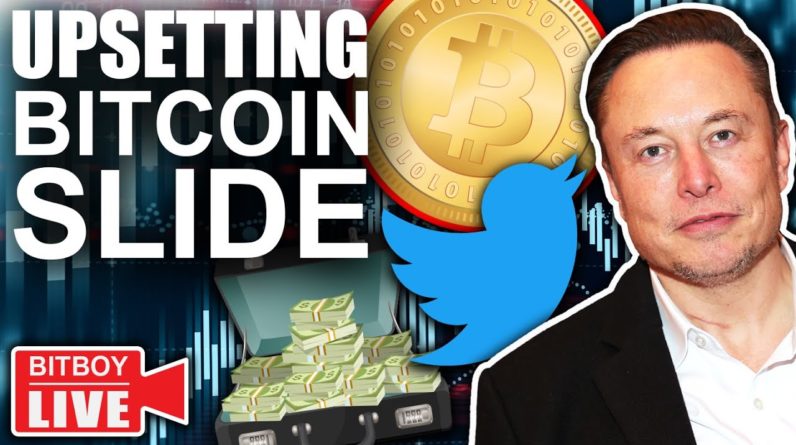 Elon Musk TWITTER DEAL (Bitcoin & Ethereum To Fix Social Media?)