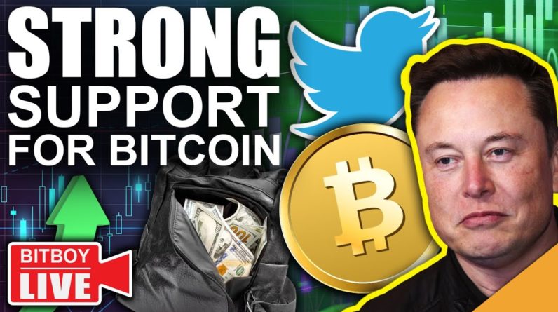 Elon Musk Becomes Twitters LARGEST Shareholder! (Bitcoin Above Strong Support)