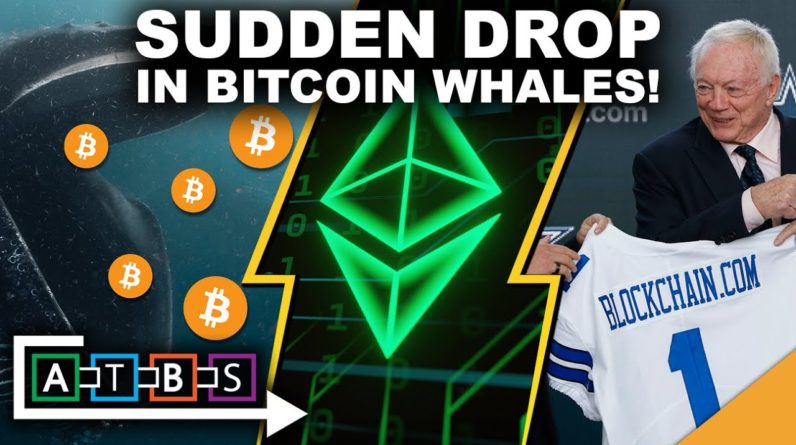 Sudden Drop in Bitcoin Whales Has Investors Nervous (HUGE Ethereum Upgrade Postponed)